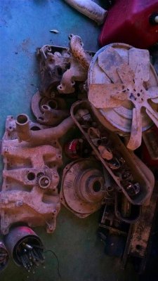 IMG_20140815_191841333 (Large).jpg