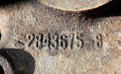 P8160014 (Large).jpg