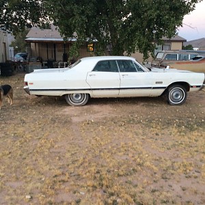 2019-06-26 05.57.22 (002).jpg