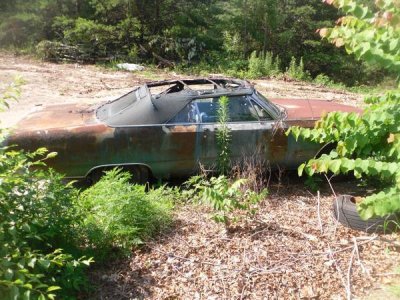 00L0L_79Foi64SfCA_600x450.jpg 00L0L_79Foi64SfCA_600x450.jpg