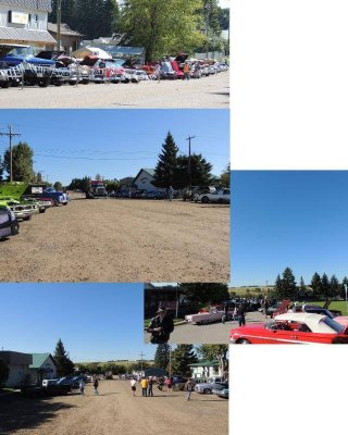 show field.jpg show field.jpg