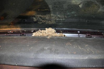 DSC_0247.jpg DSC_0247.jpg