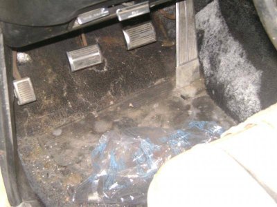 DSC01883.jpg DSC01883.jpg