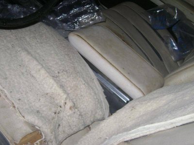 DSC01884.jpg DSC01884.jpg