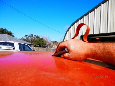 1502699_10201544857125430_641404040_o.jpg 1502699_10201544857125430_641404040_o.jpg