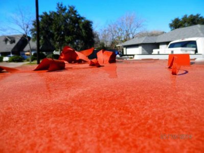 1502374_10201544859525490_1379442733_o.jpg 1502374_10201544859525490_1379442733_o.jpg