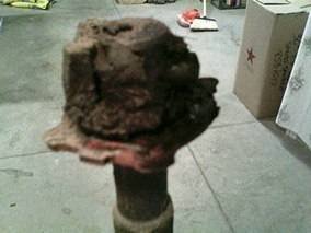 imagejpeg_2 (22).JPG imagejpeg_2 (22).JPG