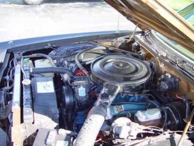 DSC03373.jpg DSC03373.jpg