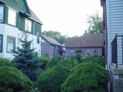 DSC03395.jpg DSC03395.jpg