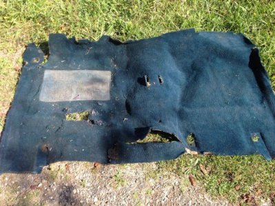 Image_9.jpg Image_9.jpg