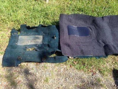 Image_10.jpg Image_10.jpg