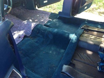 Image_11.jpg Image_11.jpg