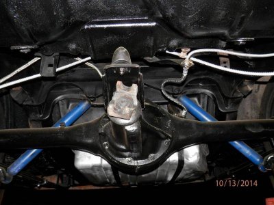 PA130081 (Large).jpg