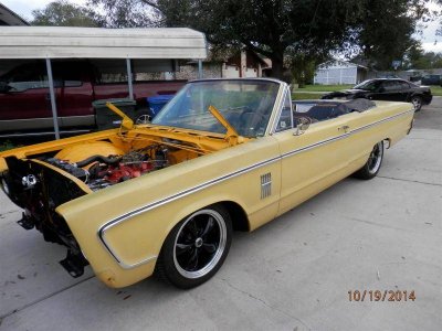 PA190005 (Large).jpg