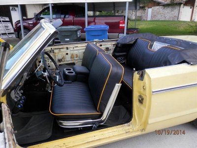 PA190007 (Large).jpg