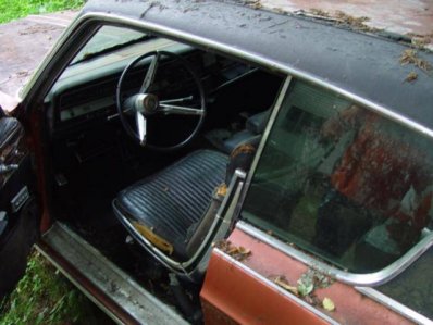 DSC02999.jpg DSC02999.jpg