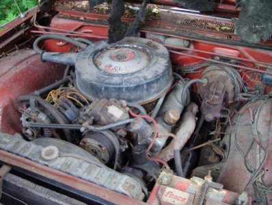 DSC03000.jpg DSC03000.jpg