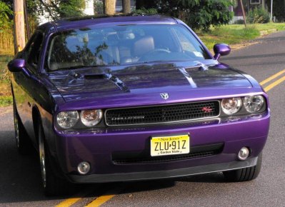 DSCF0983.jpg DSCF0983.jpg