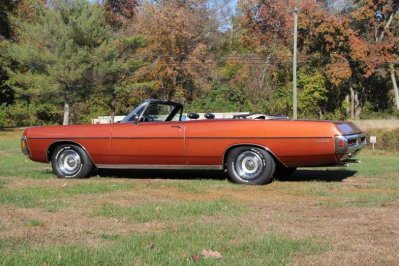 IMG_8806 (1024x683).jpg IMG_8806 (1024x683).jpg