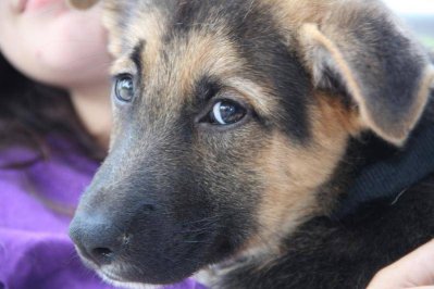 IMG_8214.jpg IMG_8214.jpg