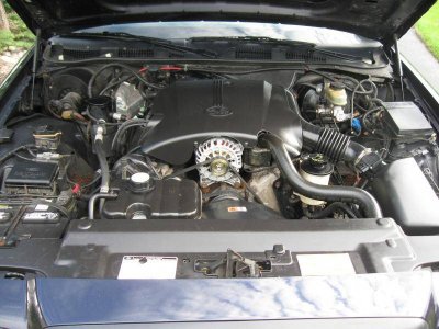 IMG_1140.jpg IMG_1140.jpg