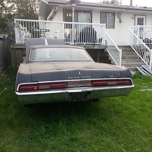 plymouth rear.jpg