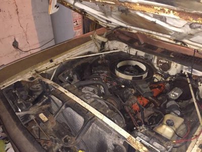 00O0O_cgnKf1Ib3W8_600x450.jpg 00O0O_cgnKf1Ib3W8_600x450.jpg