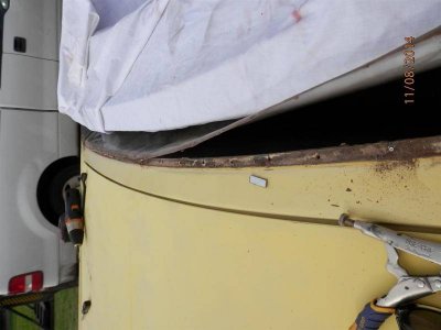 PB080003 (2) (Large).jpg