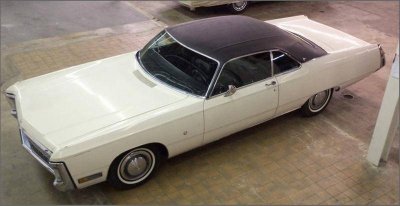 Air shot leaf.jpg Air shot leaf.jpg