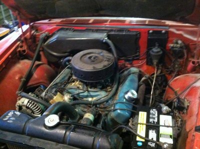 IMG_1009.jpg IMG_1009.jpg