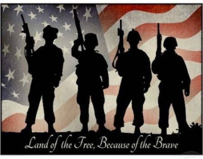 Land of the Free, because of the Brave.jpg