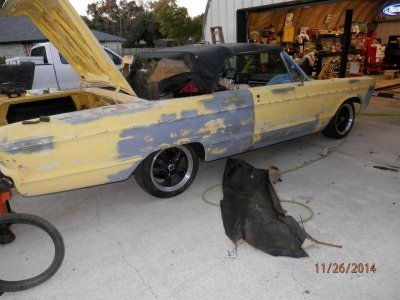 PB260006 (Large).jpg