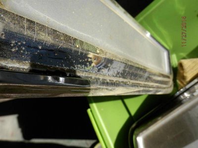 PB270002 (Large).jpg PB270002 (Large).jpg