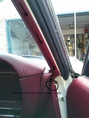 Seal 1.jpg Seal 1.jpg