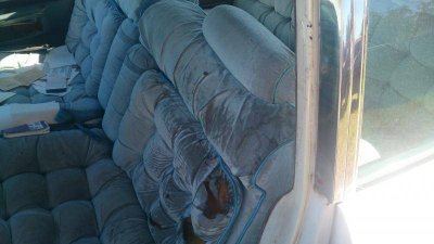 DSC_0597.jpg DSC_0597.jpg