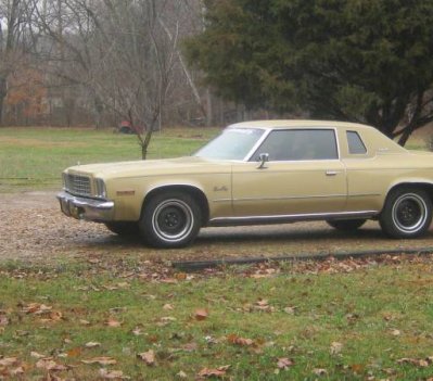 00A0A_65Sh0Jf8ldT_600x450.jpg 00A0A_65Sh0Jf8ldT_600x450.jpg