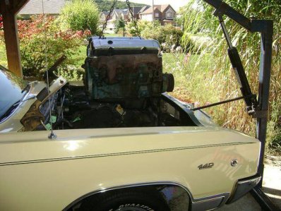 440 Free at Last.jpg