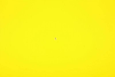 IMGP7049 (Large).jpg