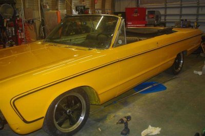 IMGP7059 (Large).jpg