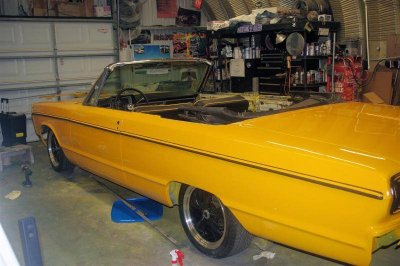 IMGP7060 (Large).jpg