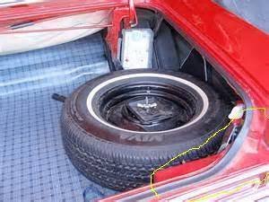 trunk edge.JPG trunk edge.JPG