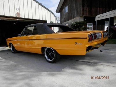 P1040003 (Large).jpg