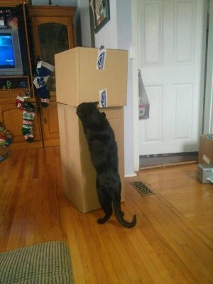 10931449_10155064906320650_4138354824656785278_n.jpg 10931449_10155064906320650_4138354824656785278_n.jpg