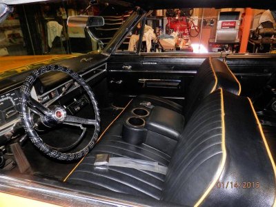 P1140001 (Large).jpg