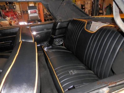 P1140002 (Large).jpg