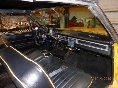 P1140004 (Large).jpg