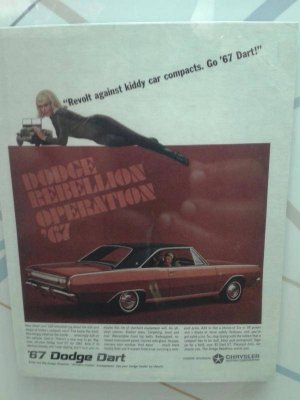 2015-01-15 14.43.06.jpg