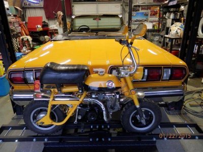 P1220001 (Large).jpg