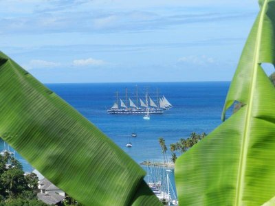 DSCN0305.jpg DSCN0305.jpg