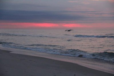 IMG_1615.jpg IMG_1615.jpg